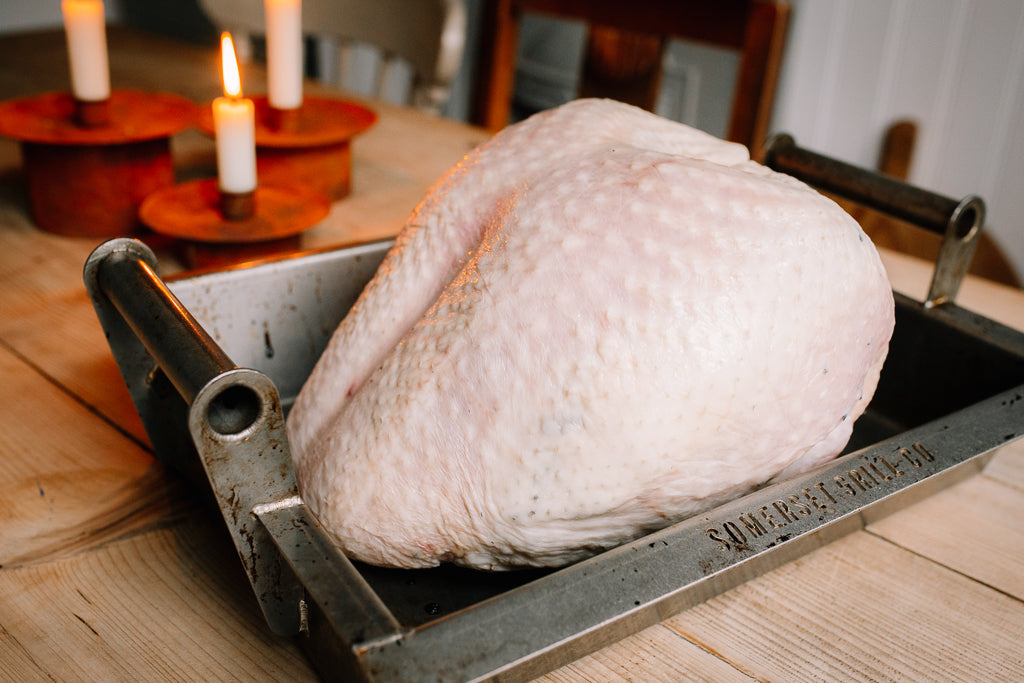 Raw turkey in a pan